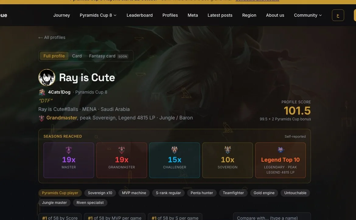 A full player profile